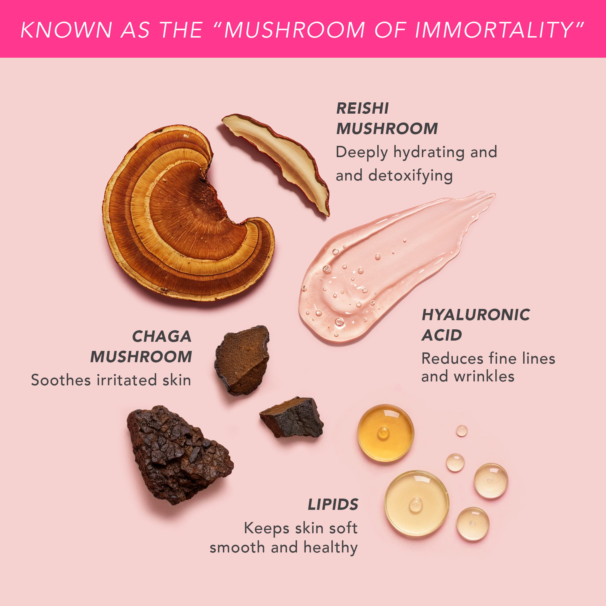 Reishi Renewing Mushroom Milk – Doll 10 Beauty
