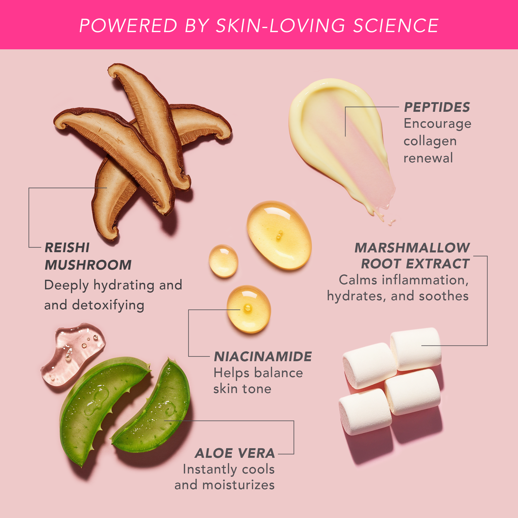 Peptide Bounce Flexible Foundation with Marshmallow Extract – Doll