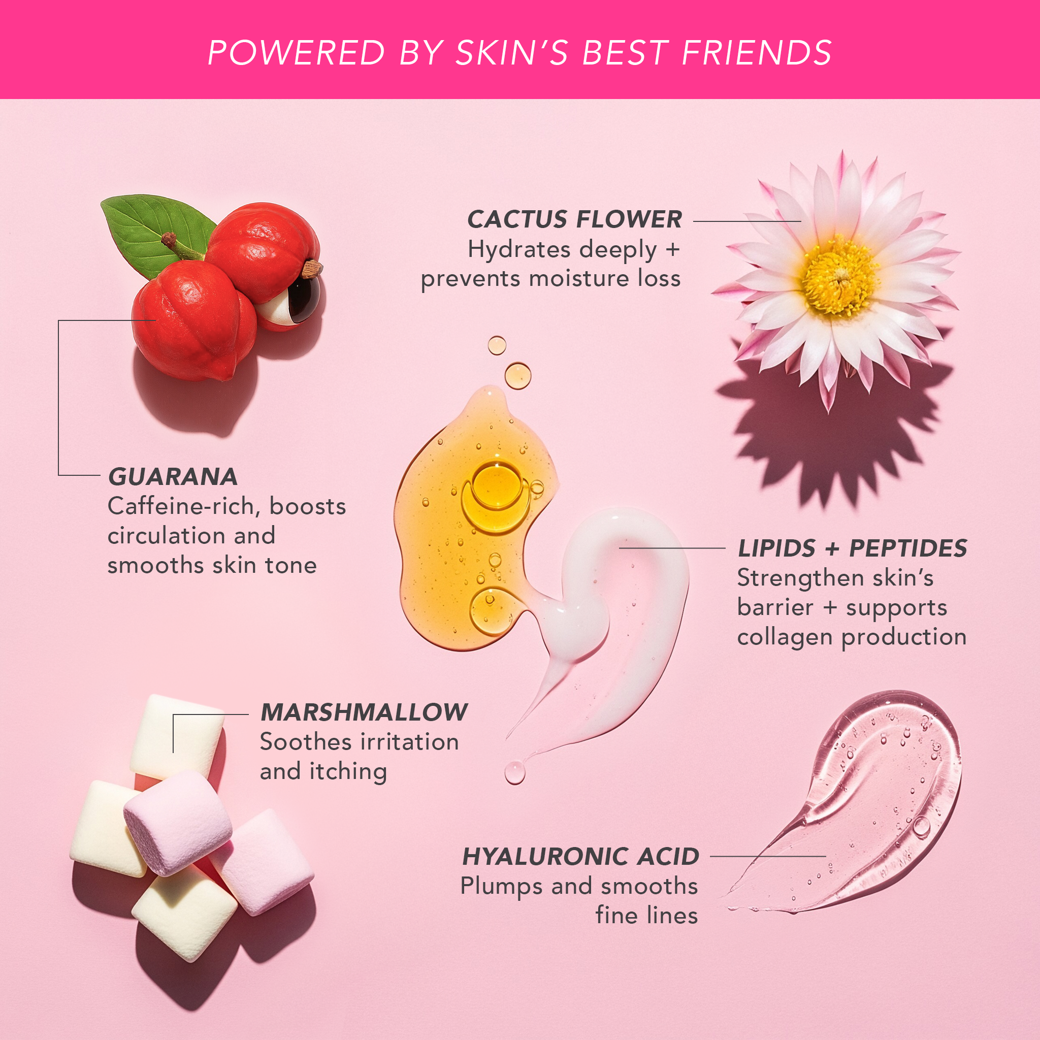 Firm + Hydrate Body Renewal Duo – Doll 10 Beauty