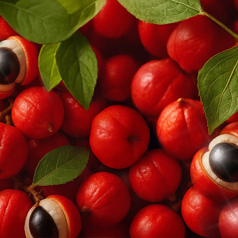 Guarana Extract